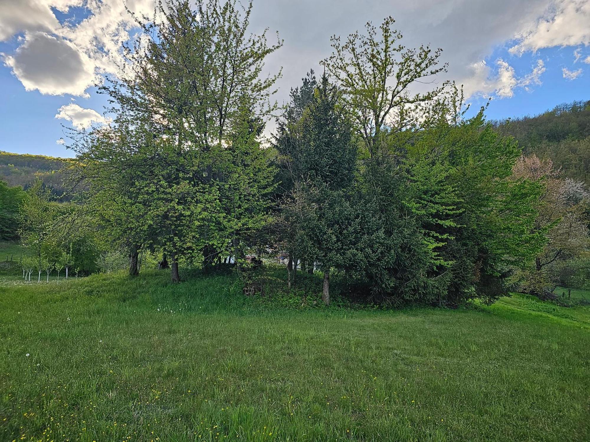 Traditional House Srna Mojkovac Exterior photo